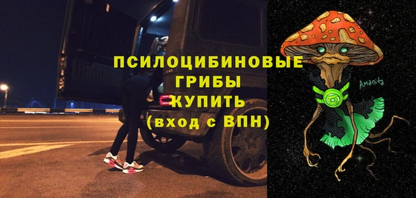 ECSTASY Алзамай