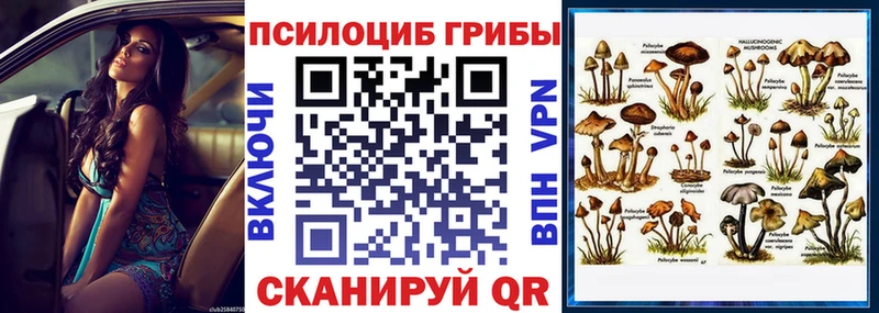mega зеркало  Ипатово  Псилоцибиновые грибы GOLDEN TEACHER 